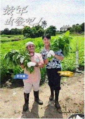 奇遇人生